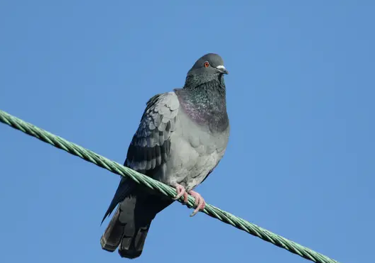 History's Top 10 WTF Moments: The CIA History's Top 10 WTF Moments: The CIA