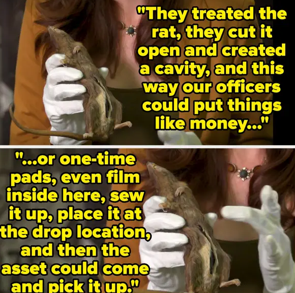 and Secrets Your Teacher Never Told You and Secrets Your Teacher Never Told You