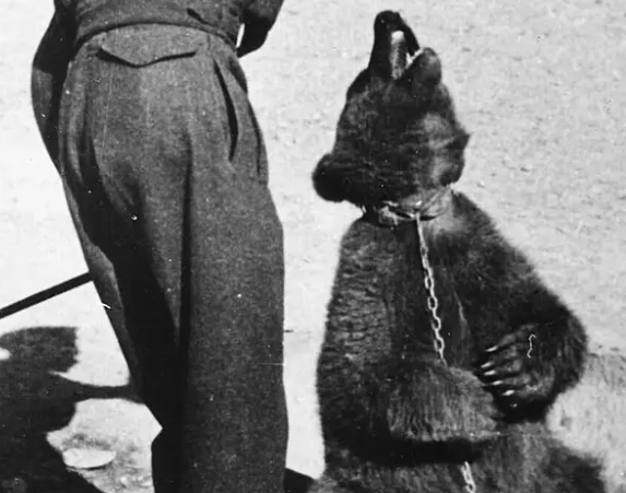 History's Top 10 WTF Moments: The CIA History's Top 10 WTF Moments: The CIA